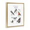 Stupell Industries North American Birds Chart Floating Frame By Heather Desormeaux